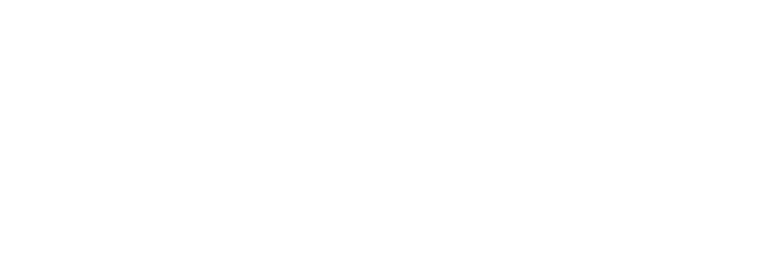 partner-SGXCVZ.png